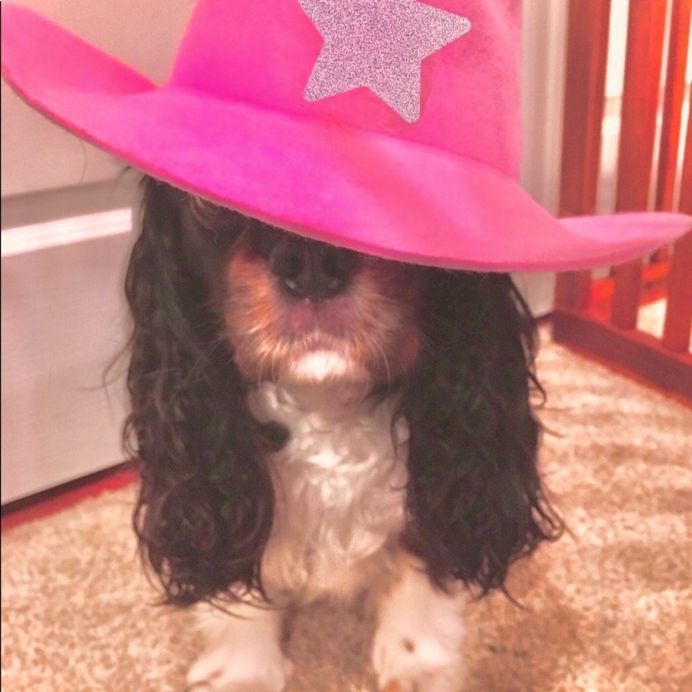 Meet your Posher, Crystal